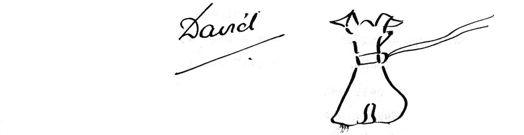 19411216b